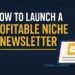 How to launch a profitable niche newsletter with email icon on laptop screen